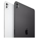 Apple iPad Pro 11" 2024 2Tb