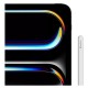 Apple iPad Pro 11" 2024 2Tb
