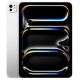Apple iPad Pro 11" 2024 2Tb