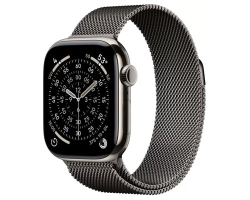 Apple Watch Series 11 LTE 46 мм (титановый корпус, природный/сланец, миланская петля)