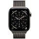 Apple Watch Series 11 LTE 46 мм (титановый корпус, природный/сланец, миланская петля)